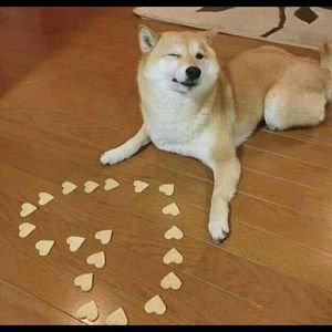 Meet your Posher, Mireya